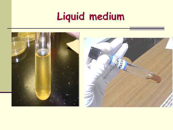 Liquid medium 