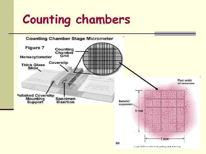 Counting chambers 