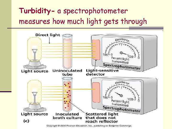 Turbidity- a spectrophotometer measures how much light gets through 