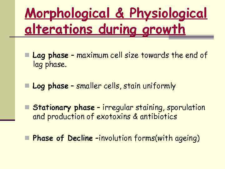 Morphological & Physiological alterations during growth n Lag phase – maximum cell size towards