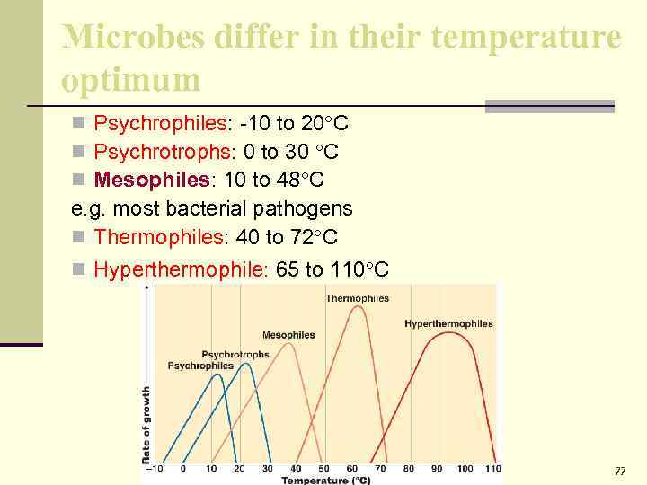 Microbes differ in their temperature optimum n Psychrophiles: -10 to 20 C n Psychrotrophs: