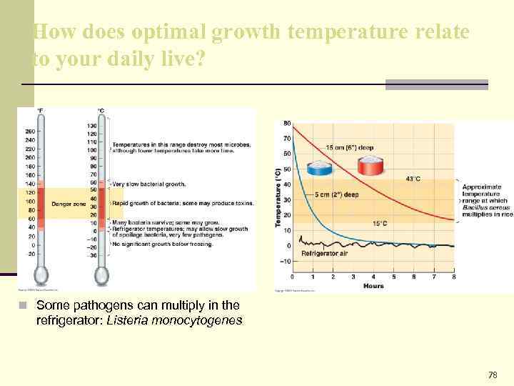 How does optimal growth temperature relate to your daily live? n Some pathogens can