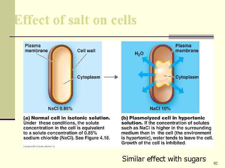 Effect of salt on cells Similar effect with sugars 82 