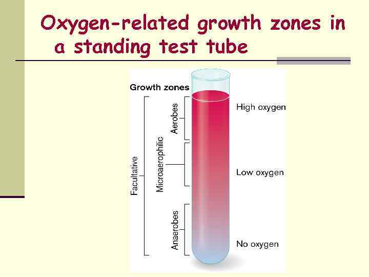 Oxygen-related growth zones in a standing test tube 