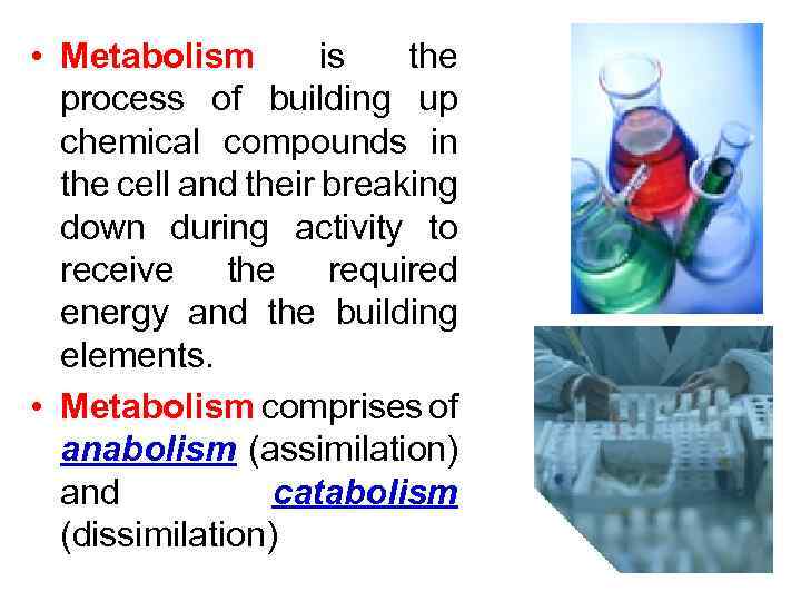  • Metabolism is the process of building up chemical compounds in the cell