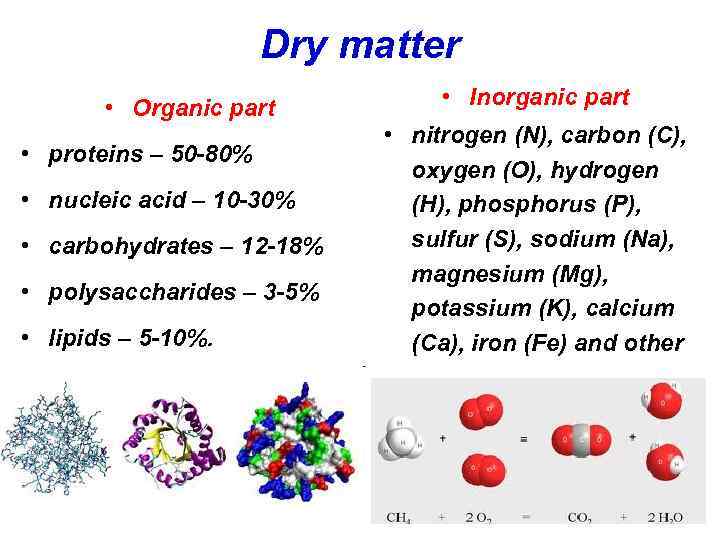 Dry matter • Organic part • proteins – 50 -80% • nucleic acid –