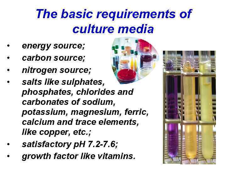 The basic requirements of culture media • • • energy source; carbon source; nitrogen