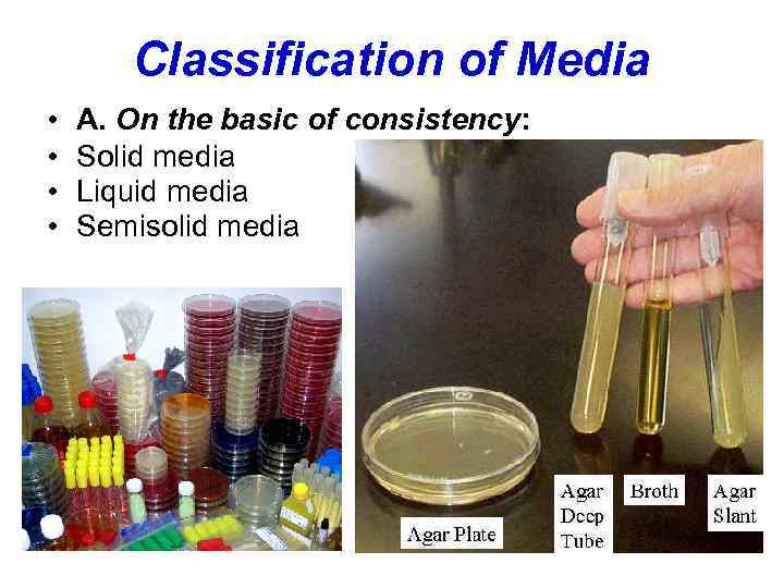 Classification of Media • • A. On the basic of consistency: Solid media Liquid