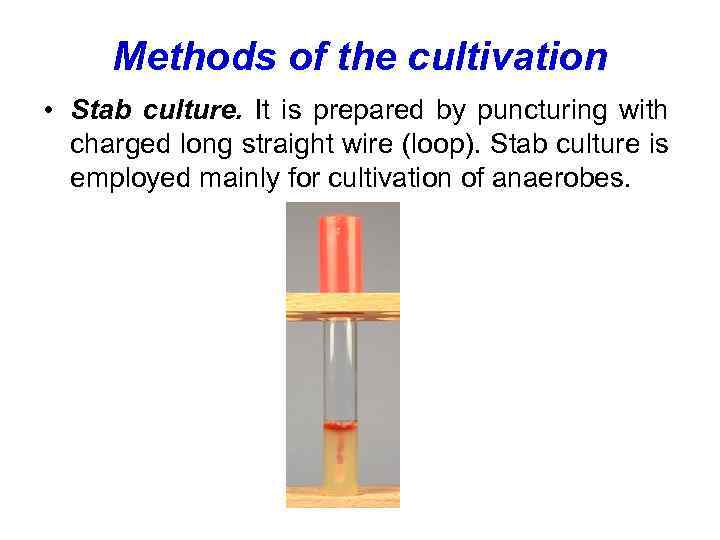 Methods of the cultivation • Stab culture. It is prepared by puncturing with charged