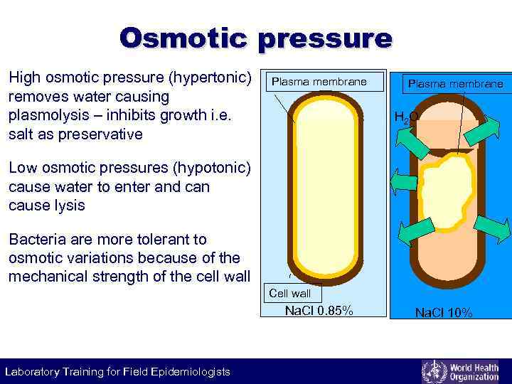 Osmotic pressure High osmotic pressure (hypertonic) removes water causing plasmolysis – inhibits growth i.