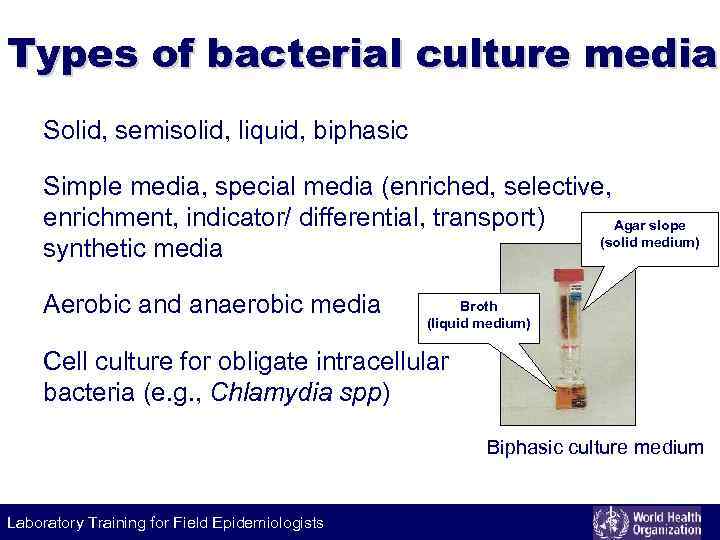 Types of bacterial culture media Solid, semisolid, liquid, biphasic Simple media, special media (enriched,