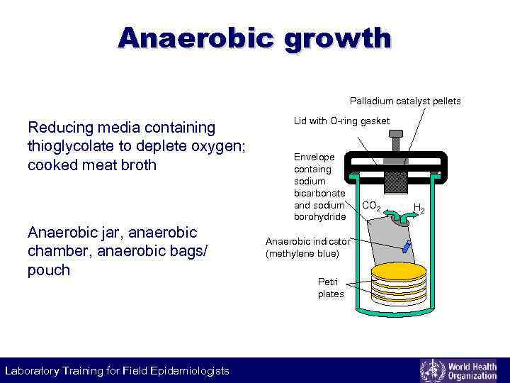 Anaerobic growth Palladium catalyst pellets Reducing media containing thioglycolate to deplete oxygen; cooked meat