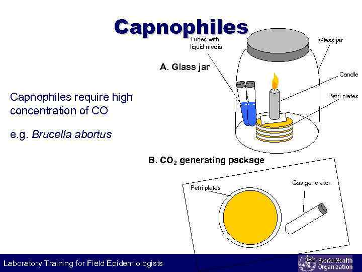 Capnophiles Tubes with liquid media Glass jar A. Glass jar Capnophiles require high concentration