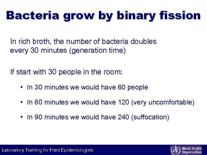 Bacteria grow by binary fission In rich broth, the number of bacteria doubles every