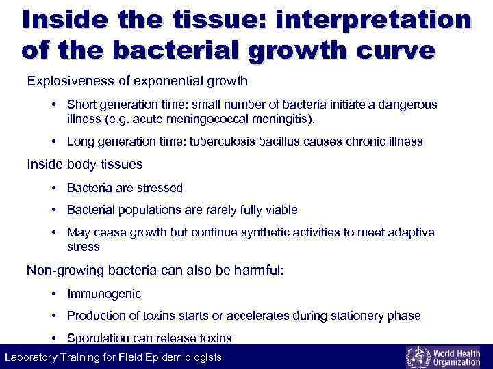 Inside the tissue: interpretation of the bacterial growth curve Explosiveness of exponential growth •