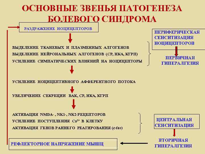 ОСНОВНЫЕ ЗВЕНЬЯ ПАТОГЕНЕЗА БОЛЕВОГО СИНДРОМА РАЗДРАЖЕНИЕ НОЦИЦЕПТОРОВ ВЫДЕЛЕНИЕ ТКАНЕВЫХ И ПЛАЗМЕННЫХ АЛГОГЕНОВ ВЫДЕЛЕНИЕ НЕЙРОНАЛЬНЫХ