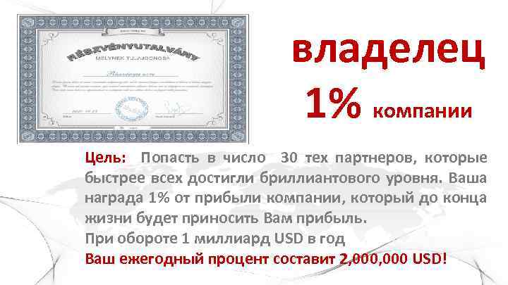 владелец 1% компании Цель: Попасть в число 30 тех партнеров, которые быстрее всех достигли