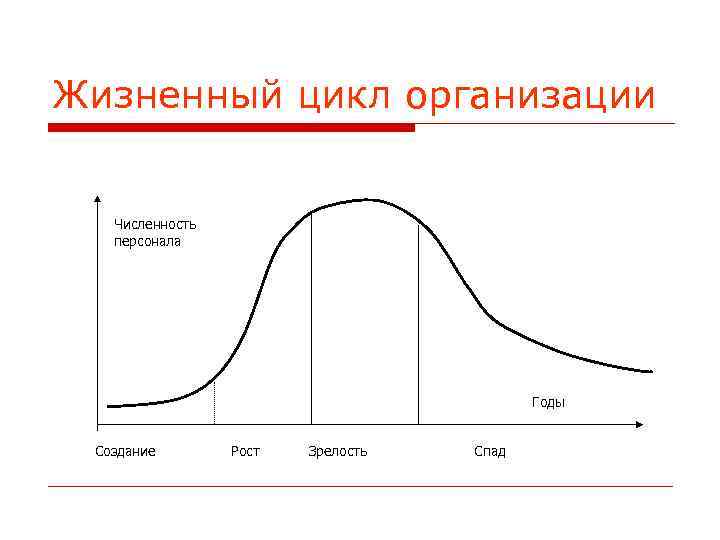 Жизненный цикл организации Численность персонала Годы Создание Рост Зрелость Спад 