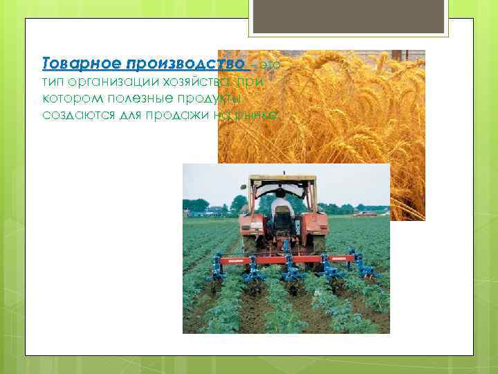 Товарное производство – это тип организации хозяйства, при котором полезные продукты создаются для продажи