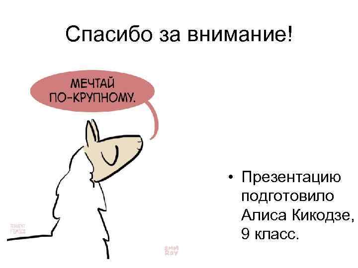 Cпасибо за внимание! • Презентацию подготовило Алиса Кикодзе, 9 класс. 