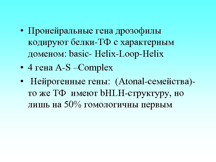  • Пронейральные гена дрозофилы кодируют белки-ТФ с характерным доменом: basic- Helix-Loop-Helix • 4
