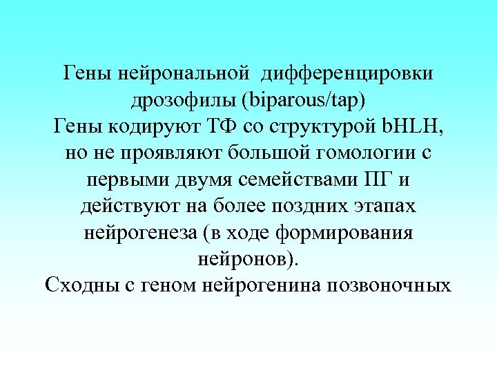 Гены нейрональной дифференцировки дрозофилы (biparous/tap) Гены кодируют ТФ со структурой b. HLH, но не