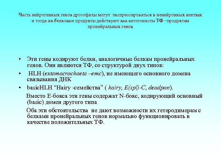 Часть нейрогенных генов дрозофилы могут экспрессироваться в ненейронных клетках и тогда их белковые продукты