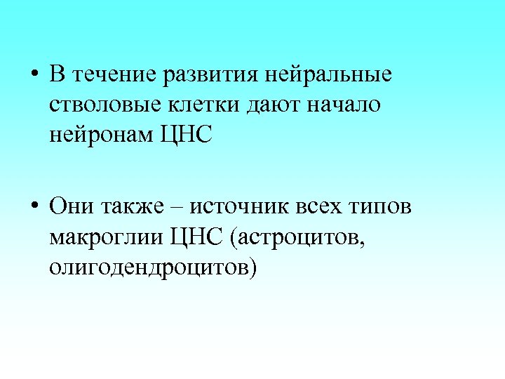  • В течение развития нейральные стволовые клетки дают начало нейронам ЦНС • Они