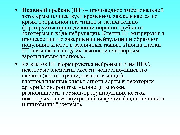  • Нервный гребень (НГ) – производное эмбриональной эктодермы (существует временно), закладывается по краям