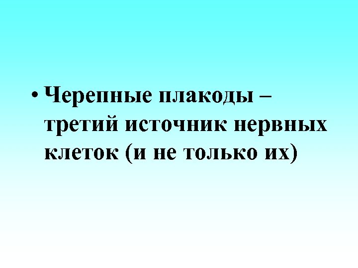  • Черепные плакоды – третий источник нервных клеток (и не только их) 