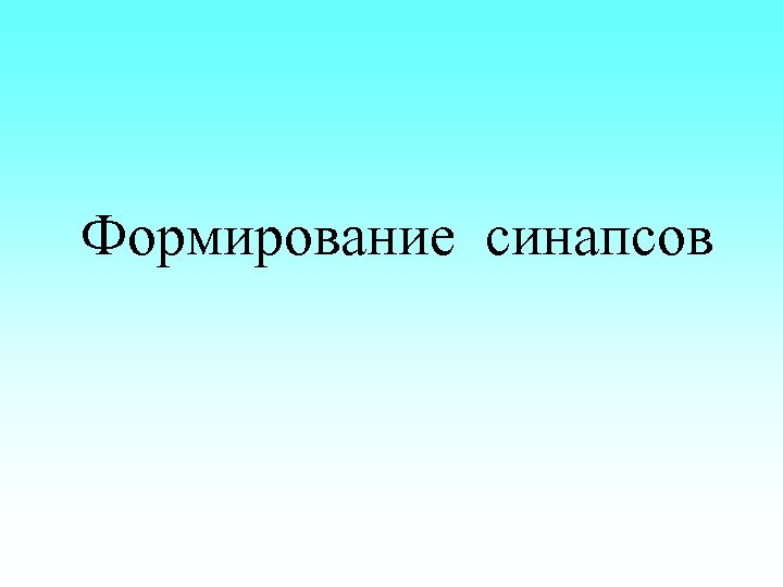 Формирование синапсов 