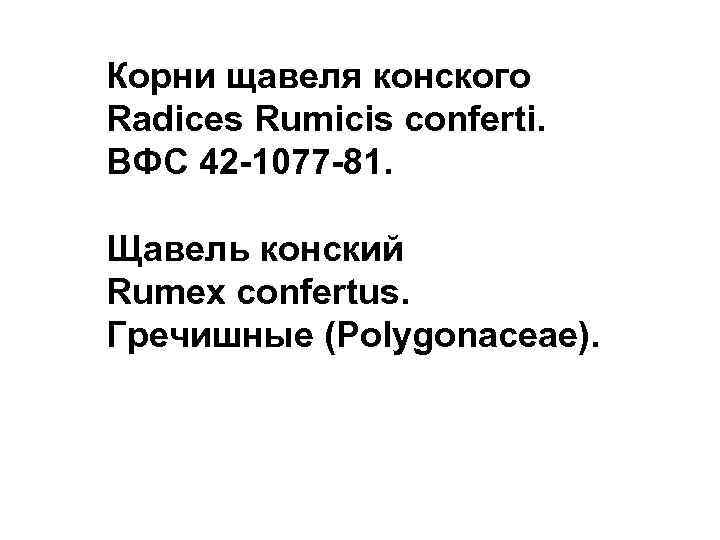 Корни щавеля конского Radices Rumicis conferti. ВФС 42 -1077 -81. Щавель конский Rumex confertus.