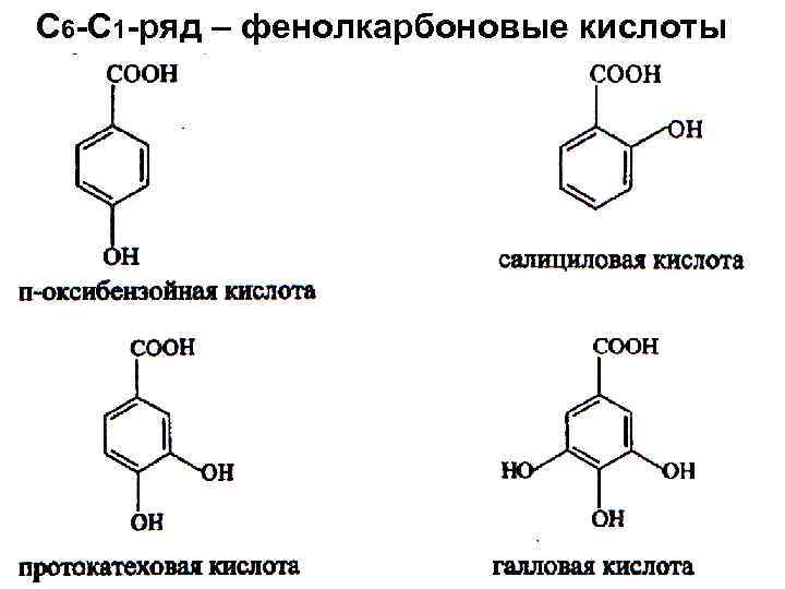 С 6 -С 1 -ряд – фенолкарбоновые кислоты 