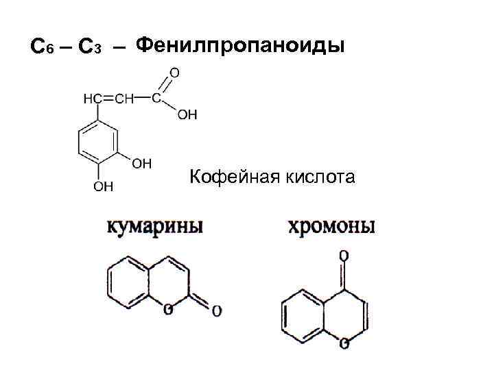 С 6 – С 3 – Фенилпропаноиды Кофейная кислота 