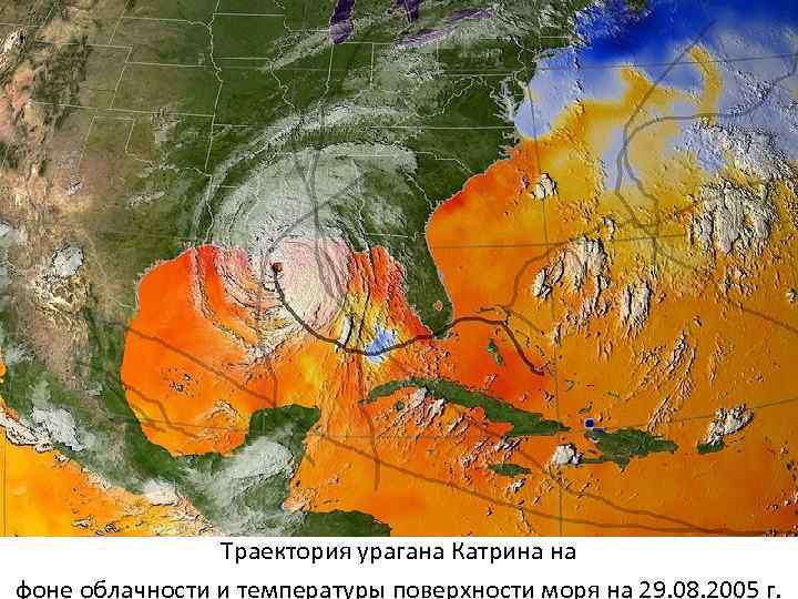 Траектория урагана Катрина на фоне облачности и температуры поверхности моря на 29. 08. 2005