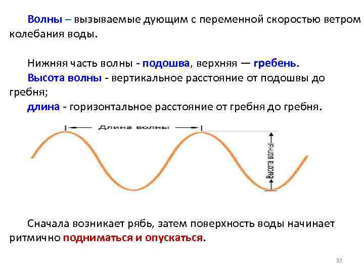 Волны – вызываемые дующим с переменной скоростью ветром колебания воды. Нижняя часть волны -