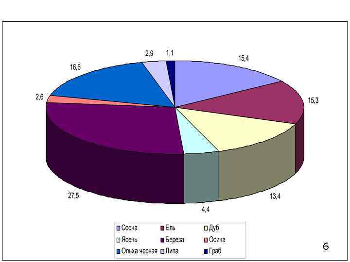  Основные лесообразующие породы лесного фонда 6 