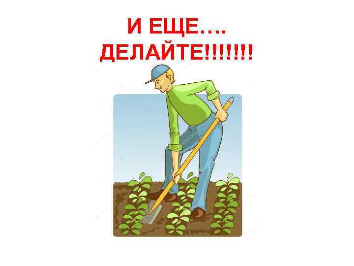 И ЕЩЕ…. ДЕЛАЙТЕ!!!!!!! 