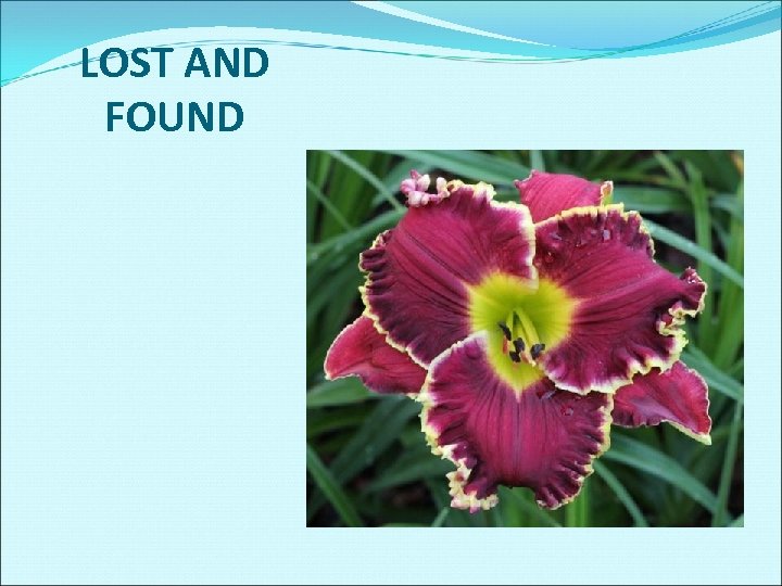 LOST AND FOUND 