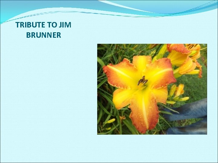 TRIBUTE TO JIM BRUNNER 