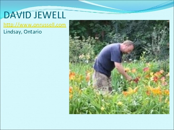 DAVID JEWELL http: //www. onrussell. com Lindsay, Ontario 