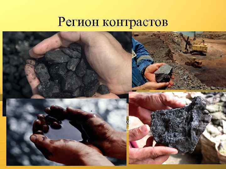 Регион контрастов Минеральные ресурсы региона отличаются большим разнообразием (каменный уголь, железная и марганцевая руды