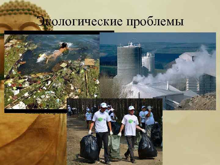 Экологические проблемы Большие масштабы приняло обезлесение, загрязнение атмосферы, истощение водных ресурсов, эрозия почв. В