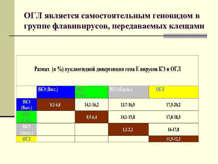 ОГЛ является самостоятельным геновидом в группе флавивирусов, передаваемых клещами 