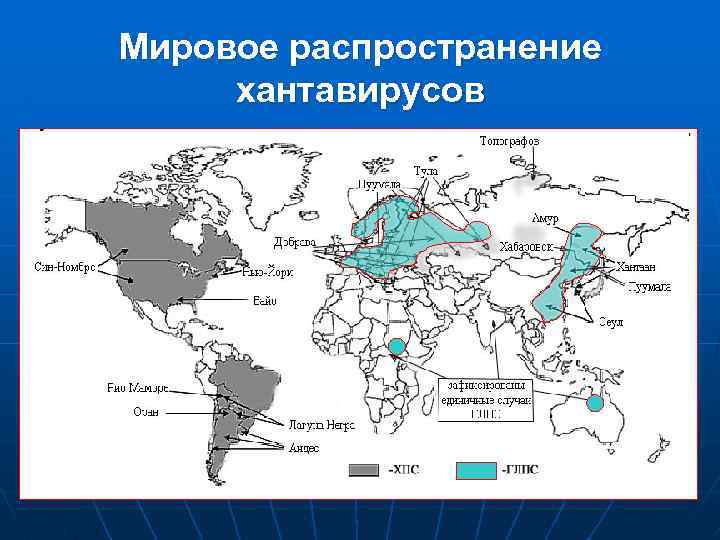 Международное распространение. Глобальное распространение. Хантавирус эпидемиология. Всемирное распространение.