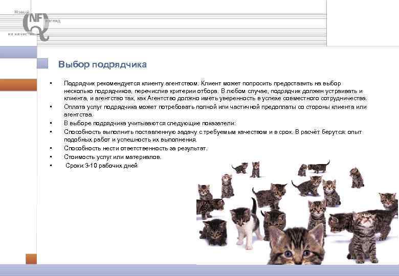 Выбор подрядчика • • Подрядчик рекомендуется клиенту агентством. Клиент может попросить предоставить на выбор