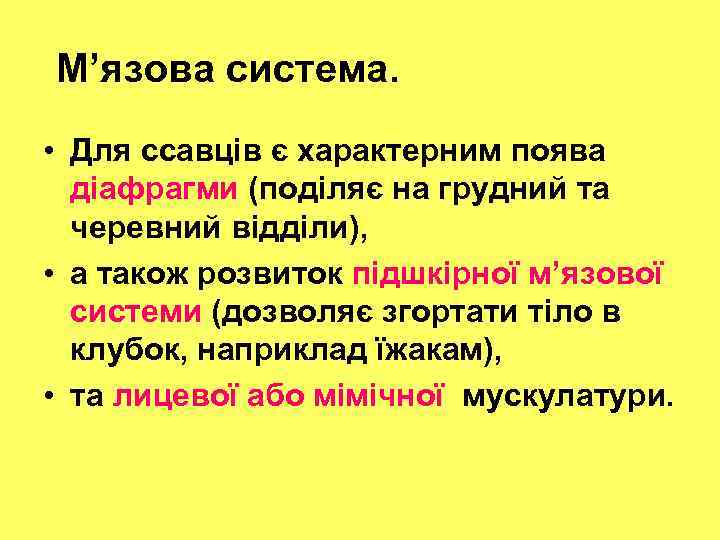 М’язова система. • Для ссавців є характерним поява діафрагми (поділяє на грудний та черевний