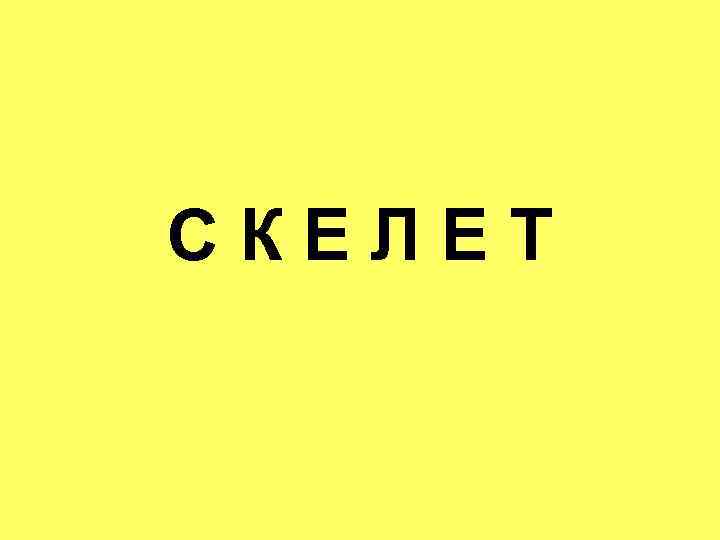 СКЕЛЕТ 