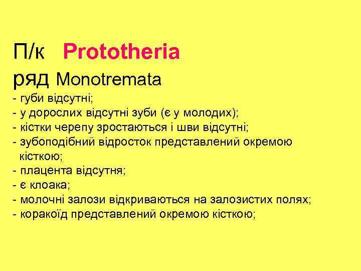 П/к Prototheria ряд Monotremata - губи відсутні; - у дорослих відсутні зуби (є у