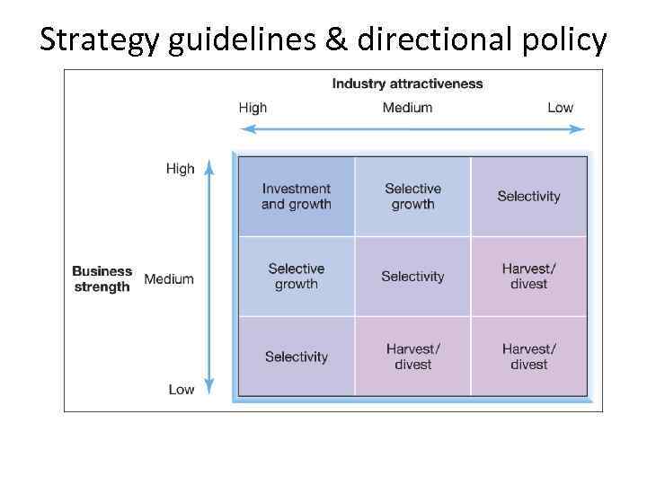 Strategy guidelines & directional policy matrix e 